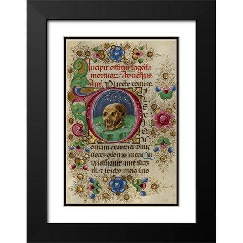 Initial D: A Skull in a Rocky Field Black Modern Wood Framed Art Print with Double Matting by Crivetti, Taddeo