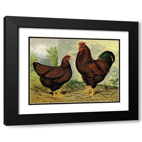 Chickens: Golden Wyandottes Black Modern Wood Framed Art Print with Double Matting by Wright, Lewis