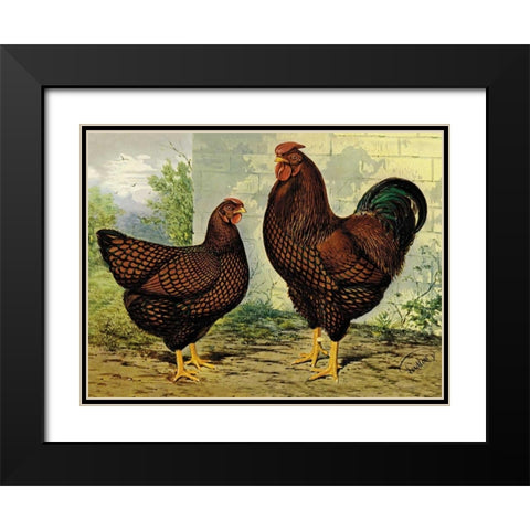 Chickens: Golden Wyandottes Black Modern Wood Framed Art Print with Double Matting by Wright, Lewis