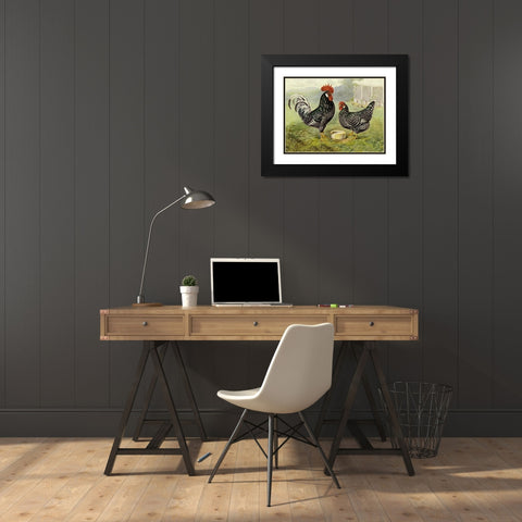Chickens: Anconas Black Modern Wood Framed Art Print with Double Matting by Wright, Lewis