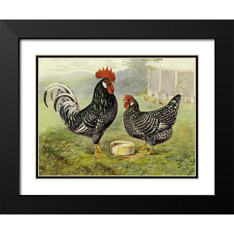 Chickens: Anconas Black Modern Wood Framed Art Print with Double Matting by Wright, Lewis