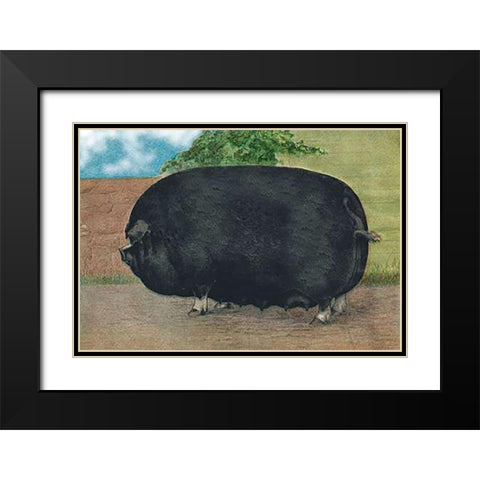 Pigs and Pork: Champion Sow Black Modern Wood Framed Art Print with Double Matting by Advertisement