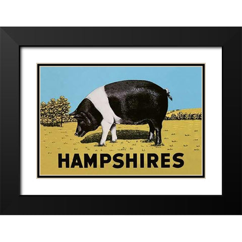 Pigs and Pork: Hampshires Black Modern Wood Framed Art Print with Double Matting by Advertisement
