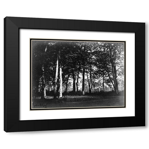 Fontainebleau, 1849 - Study of Trees and Pathways Black Modern Wood Framed Art Print with Double Matting by Le Gray, Gustave