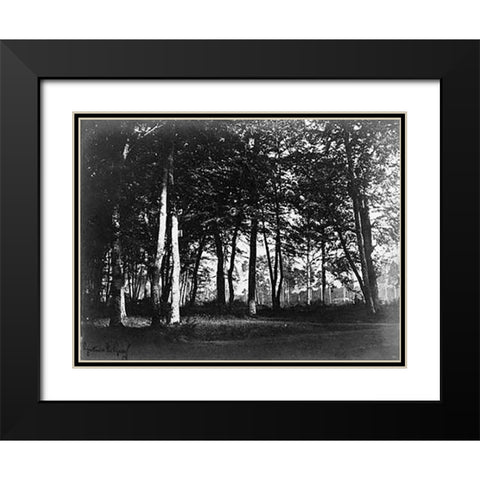 Fontainebleau, 1849 - Study of Trees and Pathways Black Modern Wood Framed Art Print with Double Matting by Le Gray, Gustave