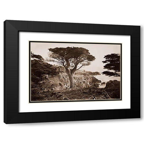 Cypress Point, Monterey, California, about 1880s Black Modern Wood Framed Art Print with Double Matting by Watkins, Carleton