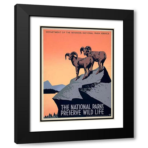 The National Parks Preserve Wild Life, ca. 1936-1939 Black Modern Wood Framed Art Print with Double Matting by Hirt, J.