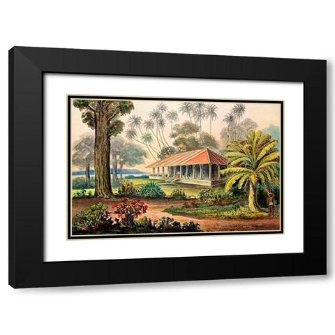 Rasthaus von Belligemma Sudkuste von Ceylon Black Modern Wood Framed Art Print with Double Matting by Haeckel, Ernst