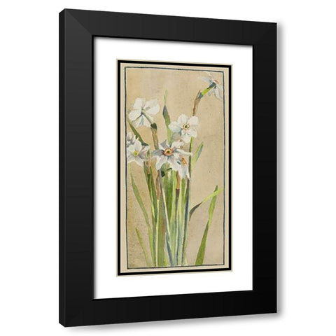 White Narcissus with Gray Accents Black Modern Wood Framed Art Print with Double Matting by Overbeck, Hannah Borger