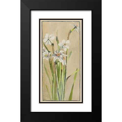 White Narcissus with Gray Accents Black Modern Wood Framed Art Print with Double Matting by Overbeck, Hannah Borger