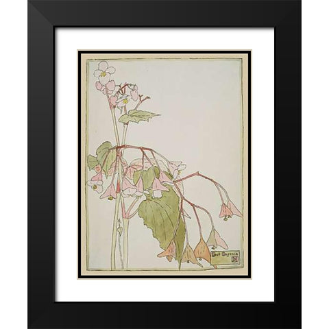 Beef Begonia Black Modern Wood Framed Art Print with Double Matting by Overbeck, Hannah Borger