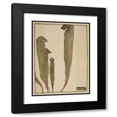 Pitcher Plant Black Modern Wood Framed Art Print with Double Matting by Overbeck, Hannah Borger
