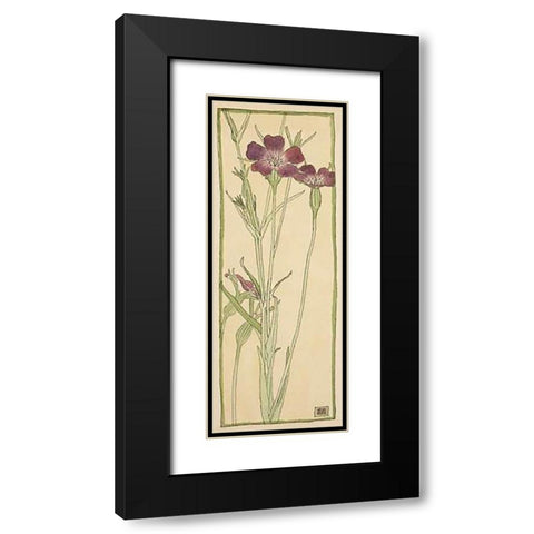 Corn Cockle Black Modern Wood Framed Art Print with Double Matting by Overbeck, Hannah Borger