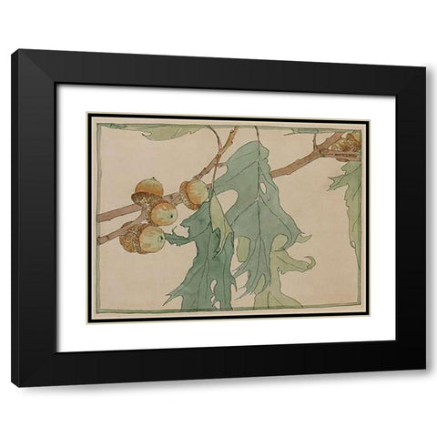 Oak/Acorns Black Modern Wood Framed Art Print with Double Matting by Overbeck, Hannah Borger