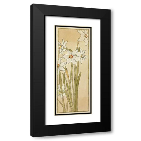 Poets Narcissus Black Modern Wood Framed Art Print with Double Matting by Overbeck, Hannah Borger