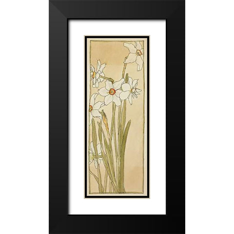Poets Narcissus Black Modern Wood Framed Art Print with Double Matting by Overbeck, Hannah Borger