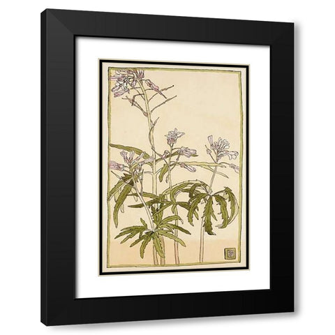 Pink Flowers with Spiky Green Leaves Black Modern Wood Framed Art Print with Double Matting by Overbeck, Hannah Borger