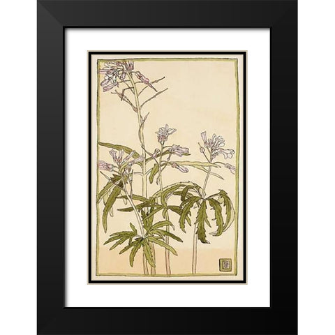 Pink Flowers with Spiky Green Leaves Black Modern Wood Framed Art Print with Double Matting by Overbeck, Hannah Borger
