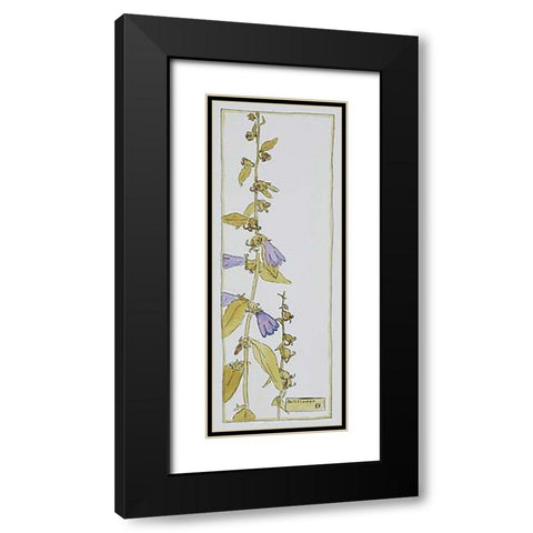 Bell Flower Black Modern Wood Framed Art Print with Double Matting by Overbeck, Hannah Borger