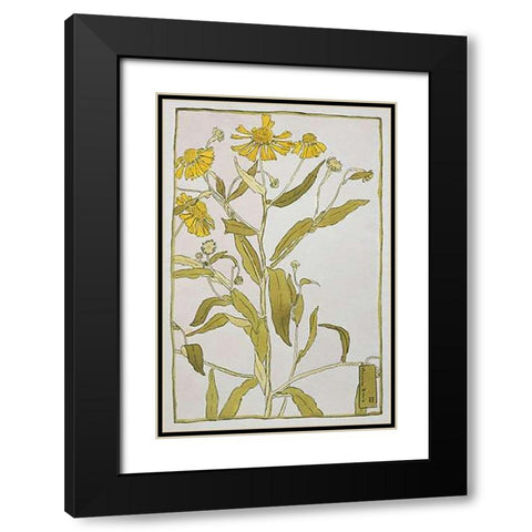 Sneeze Weed Black Modern Wood Framed Art Print with Double Matting by Overbeck, Hannah Borger