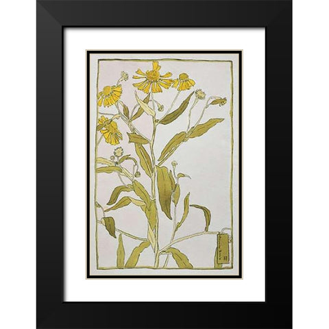 Sneeze Weed Black Modern Wood Framed Art Print with Double Matting by Overbeck, Hannah Borger