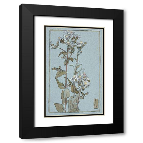 Aster on Green Ground Black Modern Wood Framed Art Print with Double Matting by Overbeck, Hannah Borger