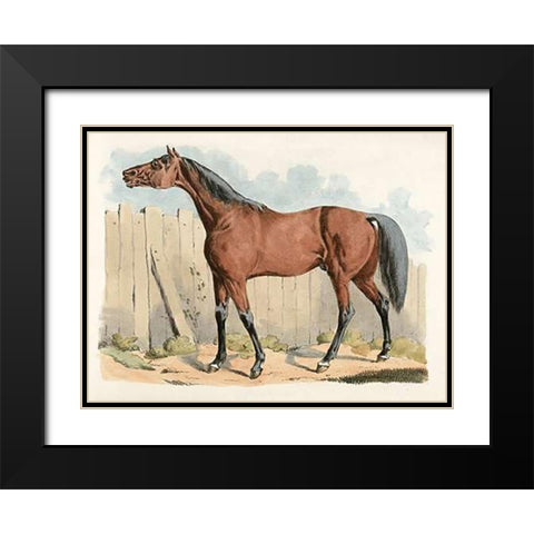 Dark-Brown Horse, 1817 Black Modern Wood Framed Art Print with Double Matting by Alken, Henry Thomas