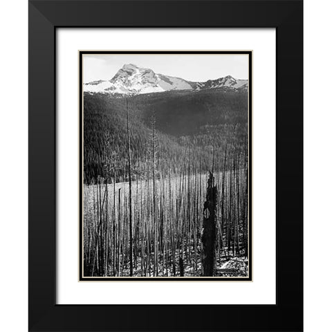 Burned Area, Glacier National Park, Montana - National Parks and Monuments, 1941 Black Modern Wood Framed Art Print with Double Matting by Adams, Ansel