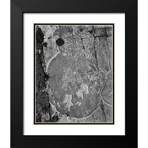 Lichons, Glacier National Park, Montana - National Parks and Monuments, 1941 Black Modern Wood Framed Art Print with Double Matting by Adams, Ansel