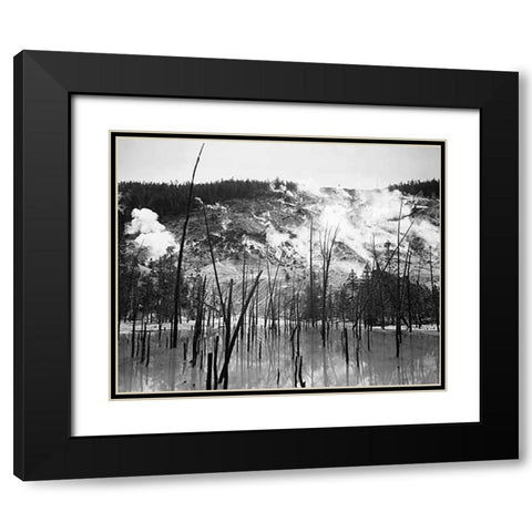 Barren trunks in water near steam rising from mountains, Roaring Mountain, Yellowstone National Park Black Modern Wood Framed Art Print with Double Matting by Adams, Ansel