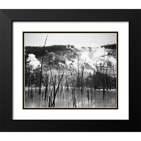 Barren trunks in water near steam rising from mountains, Roaring Mountain, Yellowstone National Park Black Modern Wood Framed Art Print with Double Matting by Adams, Ansel
