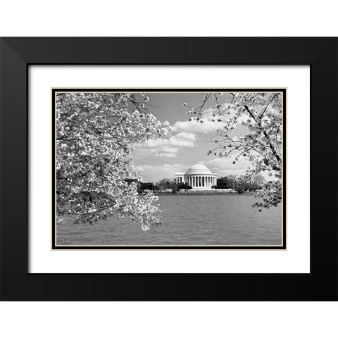 Jefferson Memorial with cherry blossoms, Washington, D.C. - Black and White Variant Black Modern Wood Framed Art Print with Double Matting by Highsmith, Carol