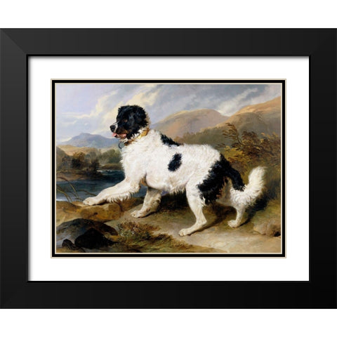 A Newfoundland Dog Black Modern Wood Framed Art Print with Double Matting by Landseer, Sir Edwin Henry