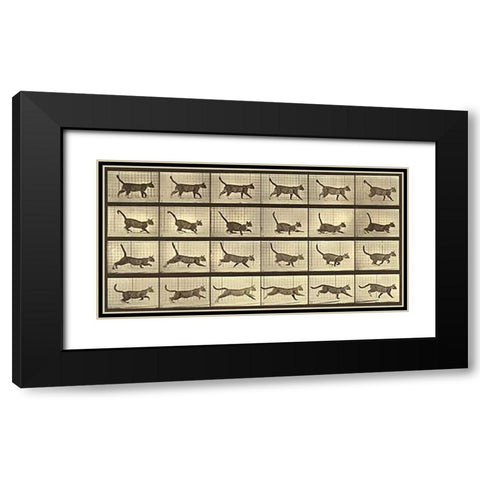 Motion Study: Running Cat Black Modern Wood Framed Art Print with Double Matting by Muybridge, Eadweard