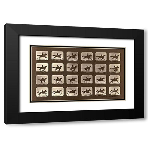 Motion Study: Man Riding A Galloping Horse Black Modern Wood Framed Art Print with Double Matting by Muybridge, Eadweard