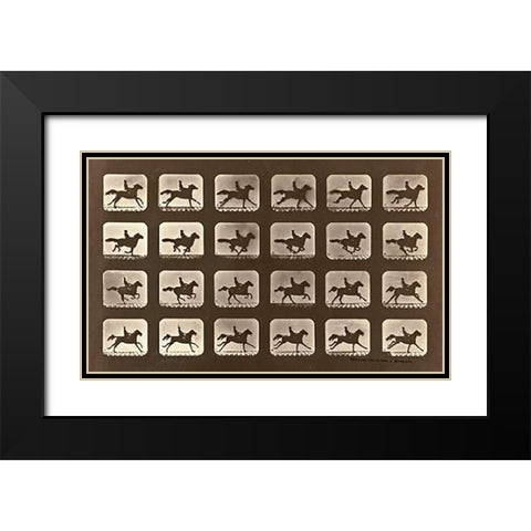 Motion Study: Man Riding A Galloping Horse Black Modern Wood Framed Art Print with Double Matting by Muybridge, Eadweard