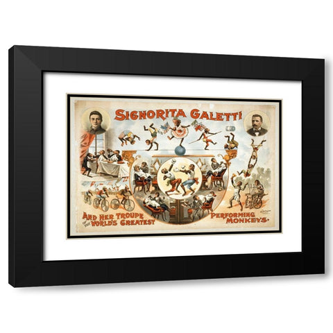 Signorita Galetti Performing Monkeys Black Modern Wood Framed Art Print with Double Matting by Hollywood Photo Archive