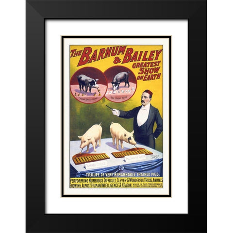 The Barnum and Bailey Greatest Show On Earth--Troupe Of Very Remarkable Trained Pigs Black Modern Wood Framed Art Print with Double Matting by Hollywood Photo Archive