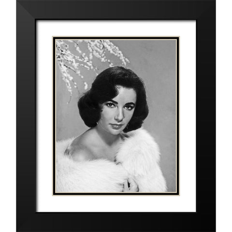 Elizabeth Taylor Black Modern Wood Framed Art Print with Double Matting by Hollywood Photo Archive