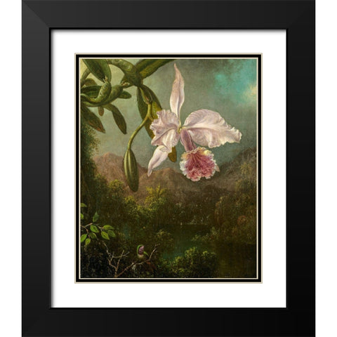 Orchid Blossoms Black Modern Wood Framed Art Print with Double Matting by Heade, Martin Johnson