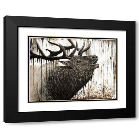 Bugling Bull Elk   Black Modern Wood Framed Art Print with Double Matting by Bawden, Angela