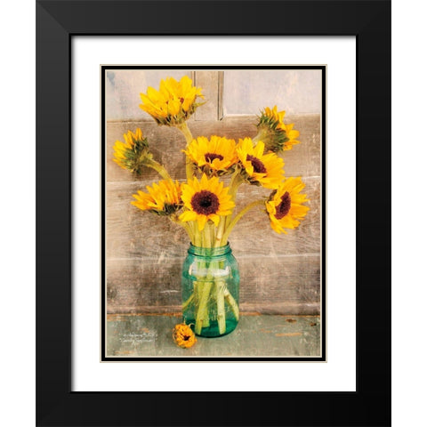 Country Sunflowers I Black Modern Wood Framed Art Print with Double Matting by Smith, Anthony