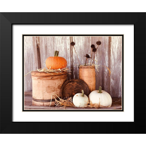 Autumn Pumpkins Black Modern Wood Framed Art Print with Double Matting by Smith, Anthony