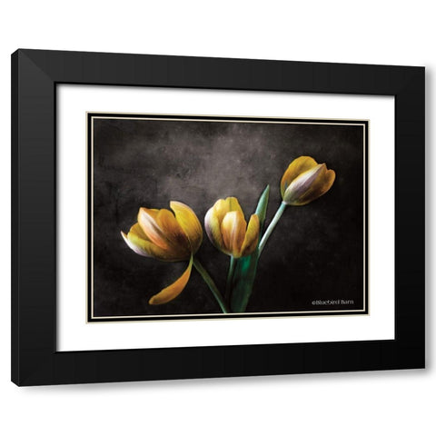 Contemporary Floral Tulips Black Modern Wood Framed Art Print with Double Matting by Bluebird Barn