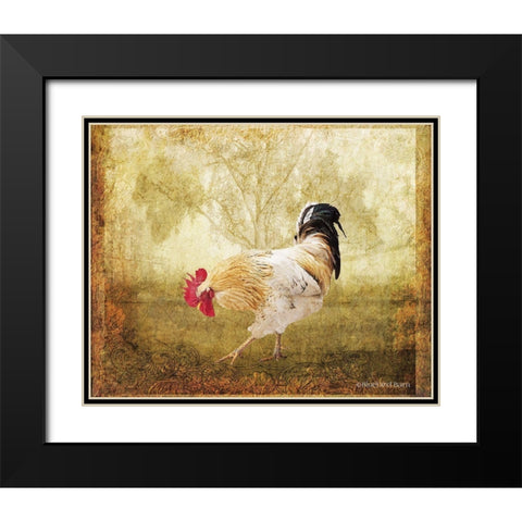 Vintage Scratching Rooster Black Modern Wood Framed Art Print with Double Matting by Bluebird Barn
