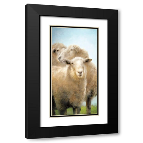 Three Sheep Portrait Black Modern Wood Framed Art Print with Double Matting by Bluebird Barn