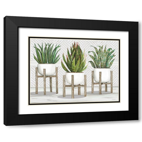 Succulent Trio on Stands Black Modern Wood Framed Art Print with Double Matting by Jacobs, Cindy