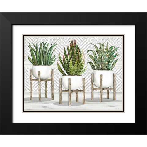 Succulent Trio on Stands Black Modern Wood Framed Art Print with Double Matting by Jacobs, Cindy