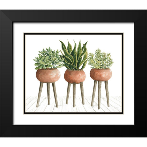 Clay Pot Trio of Plants Black Modern Wood Framed Art Print with Double Matting by Jacobs, Cindy