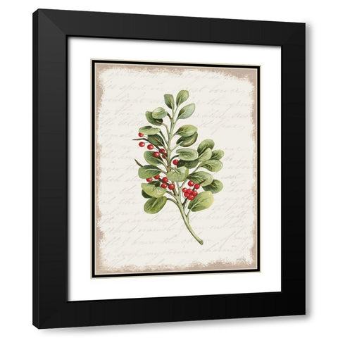 Berries Christmas Botanical Black Modern Wood Framed Art Print with Double Matting by Jacobs, Cindy